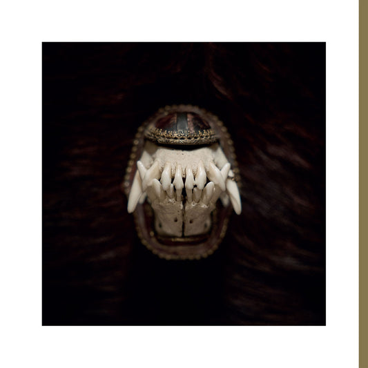 Amenra "De Toorn" 12"EP