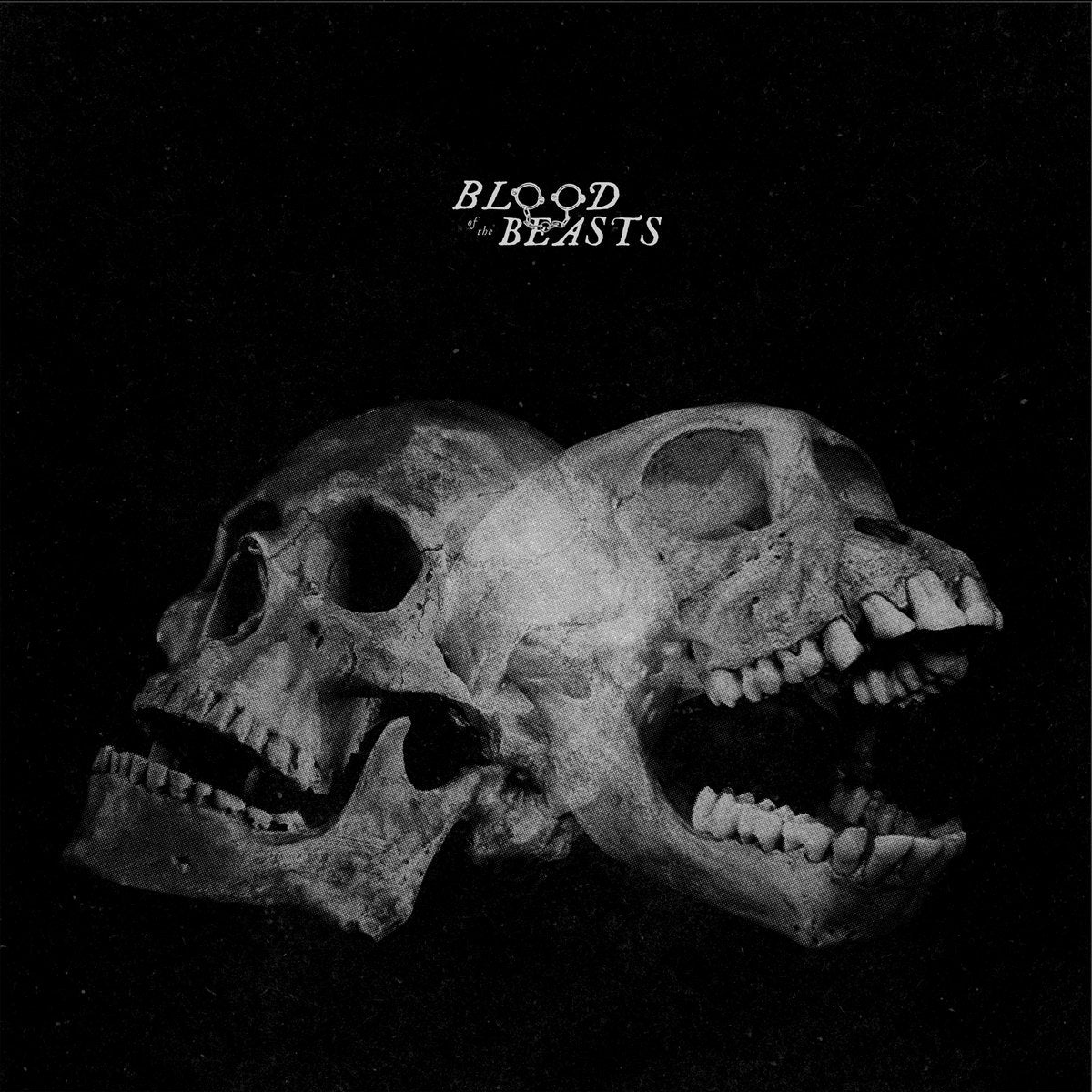 Sect "Blood Of The Beasts" LP