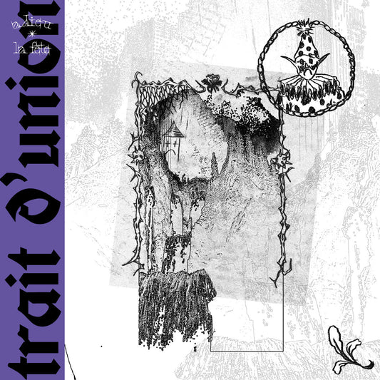 Trait D'Union "Adieu La Fête" LP