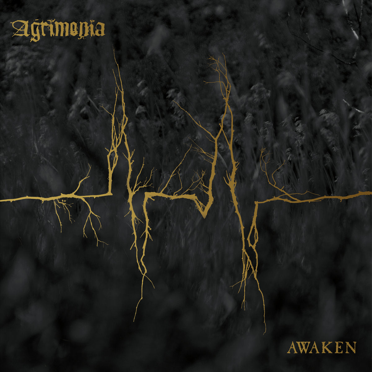 Agrimonia "Awaken" 2xLP