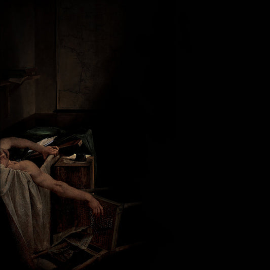 Have A Nice Life "Voids" CD