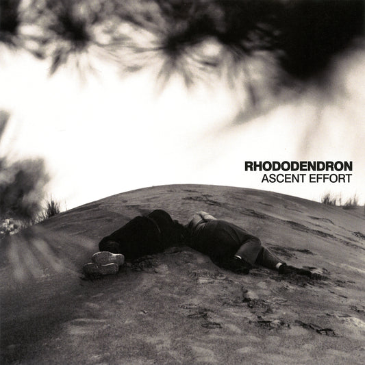 Rhododendron "Ascent Effort" LP