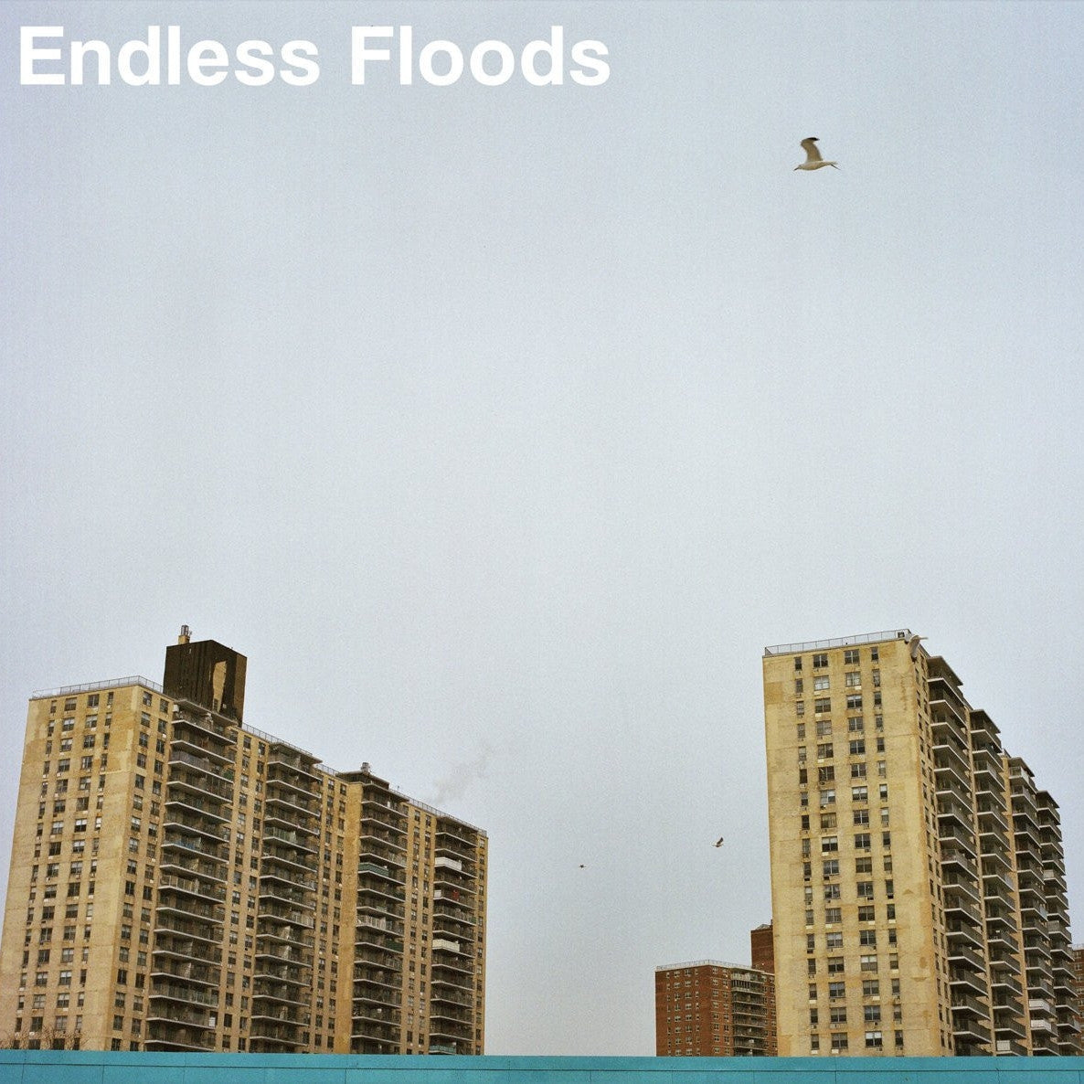 ENDLESS FLOODS "II"-Dry Cough Records-Deathwish Inc Europe