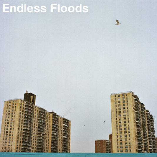 ENDLESS FLOODS "II"-Dry Cough Records-Deathwish Inc Europe