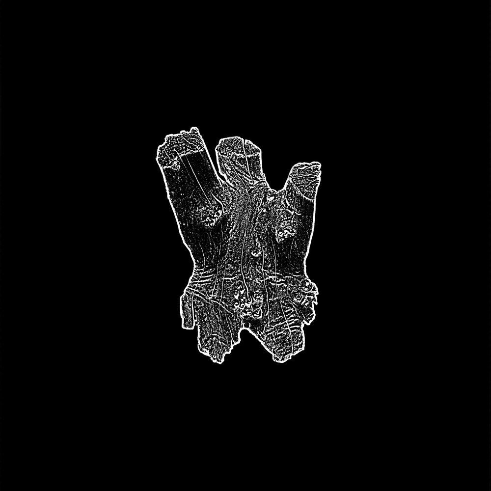 HOW MUCH WOOD WOULD A WOODCHUCK CHUCK IF A WOODCHUCK COULD CHUCK WOOD? "Self-Titled"