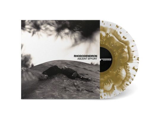 Rhododendron "Ascent Effort" LP