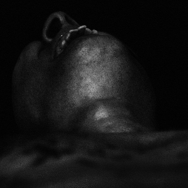 HOLY "Seclusion MMXIV"-Adagio 830-Deathwish Inc Europe