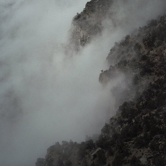 LIKE RATS "II"-Southern Lord-Deathwish Inc Europe