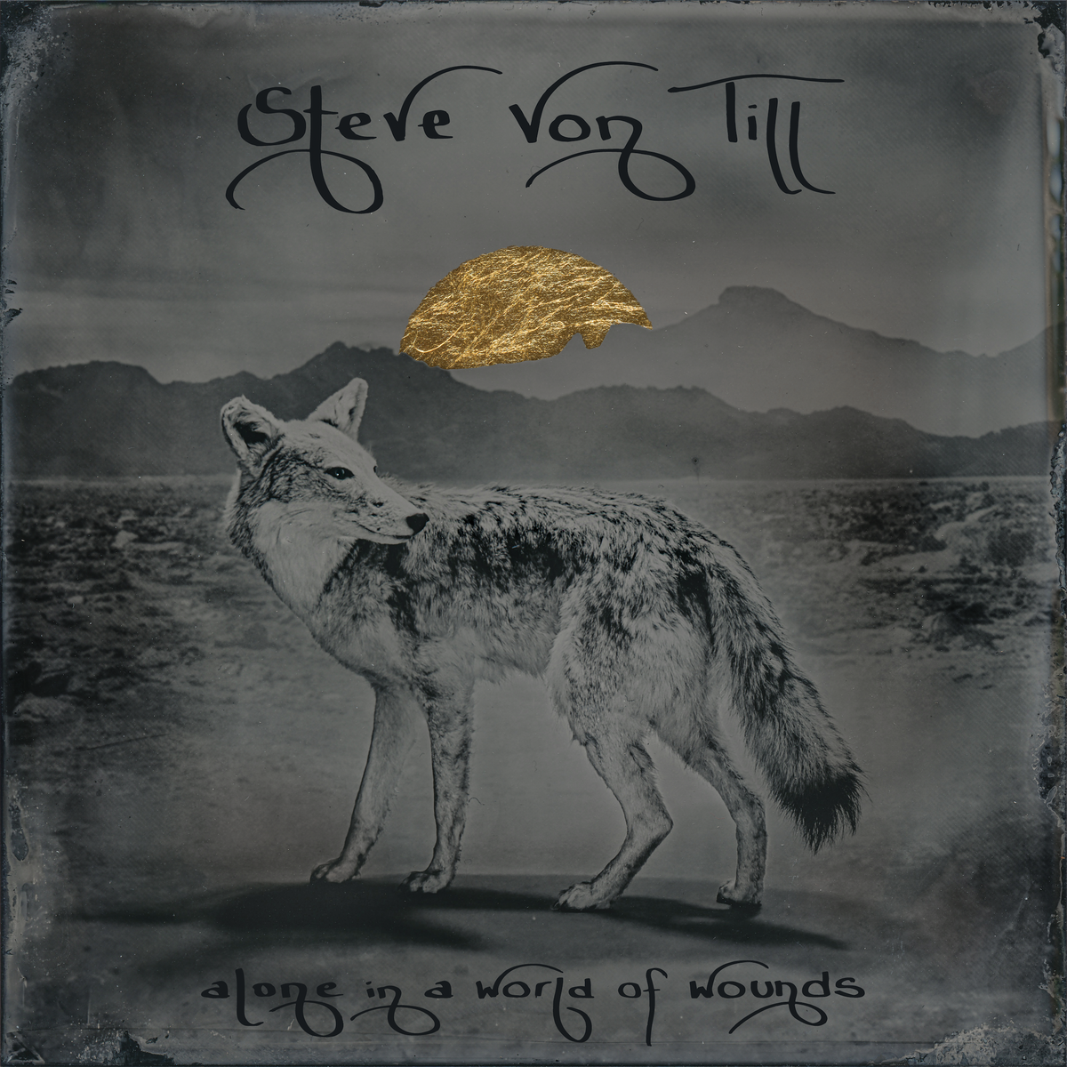 Steve Von Till "Alone In A World Of Wounds" LP
