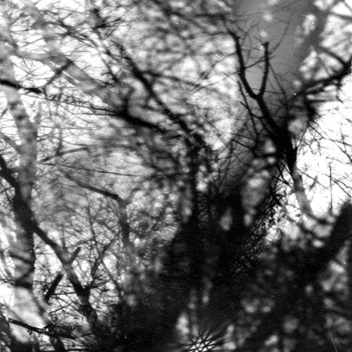 Grouper "Way Their Crept" LP