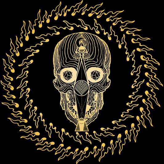 Converge "Thousands Of Miles Between Us" DVD