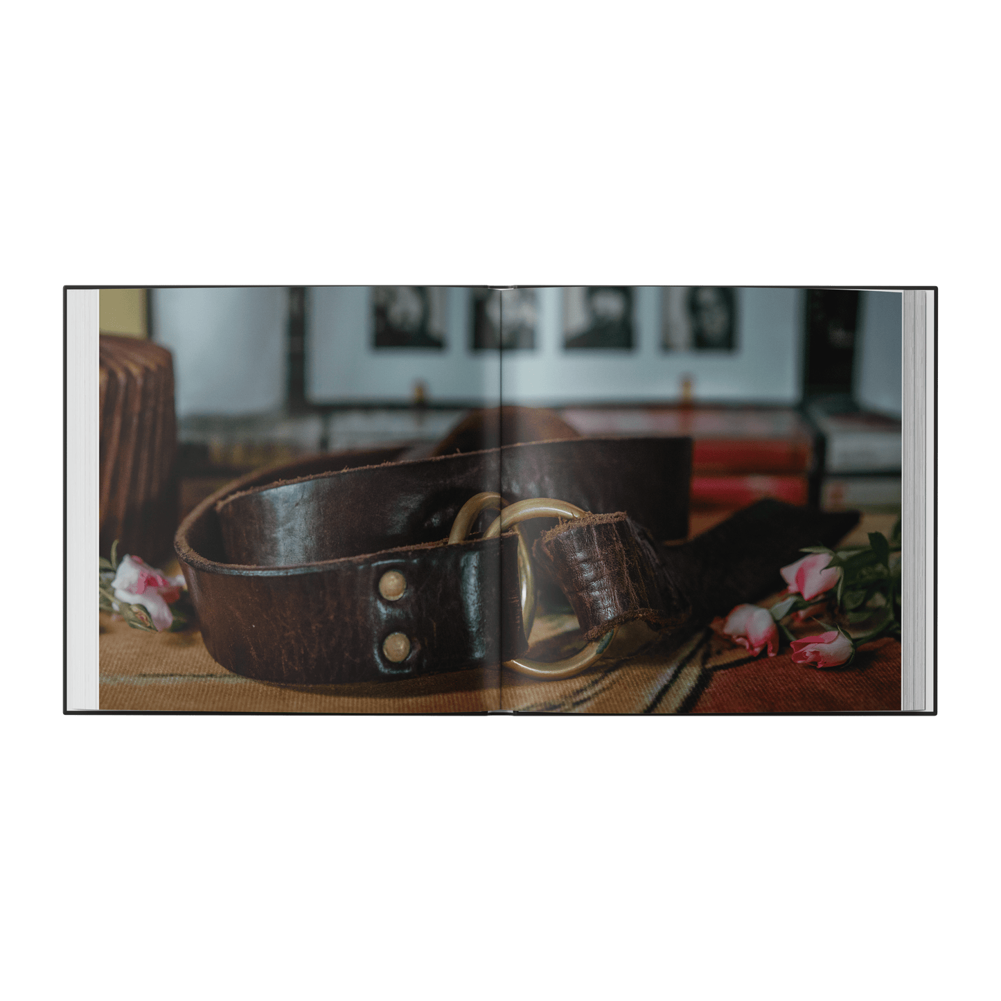 Planes Mistaken For Stars "Do You Still Love Me?" Deluxe CD