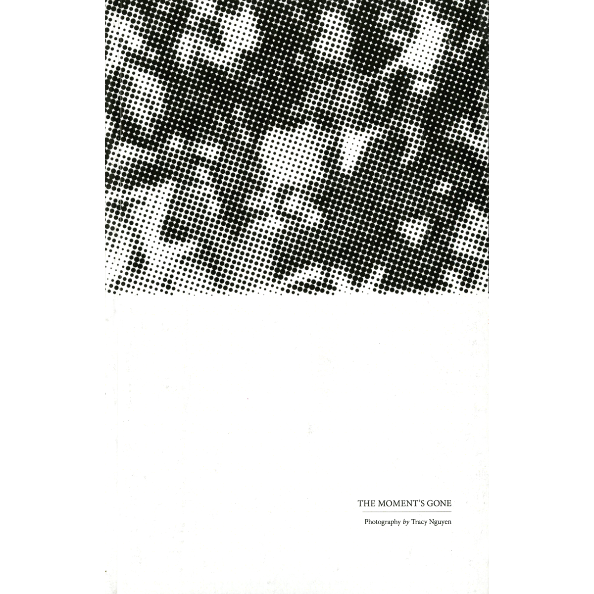 TRACY NGUYEN & LUCAS ANDERSON "The Song Is Sung / The Moment's Gone"-Permanent Sleep-Deathwish Inc Europe