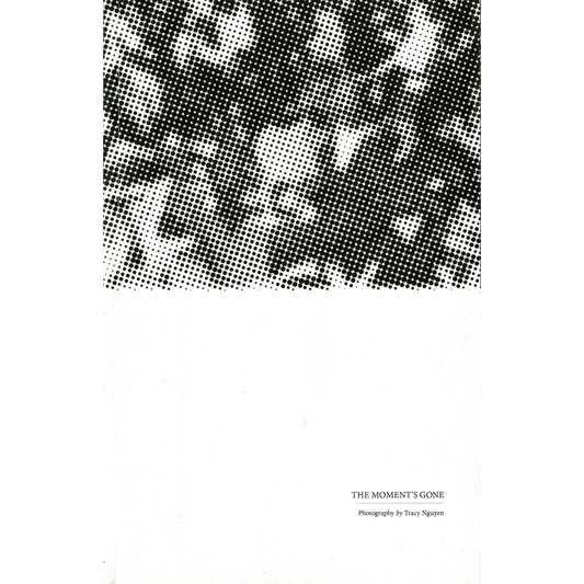 TRACY NGUYEN & LUCAS ANDERSON "The Song Is Sung / The Moment's Gone"-Permanent Sleep-Deathwish Inc Europe