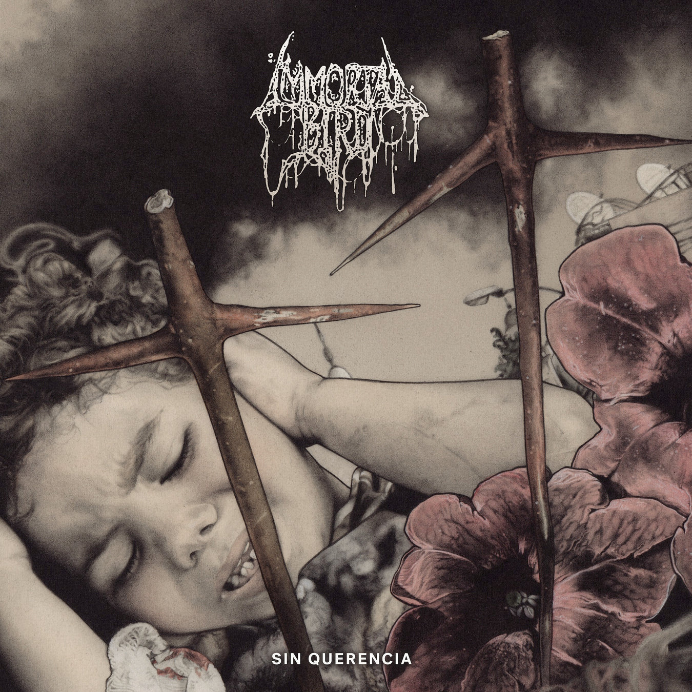 Immortal Bird "Sin Querencia" CD