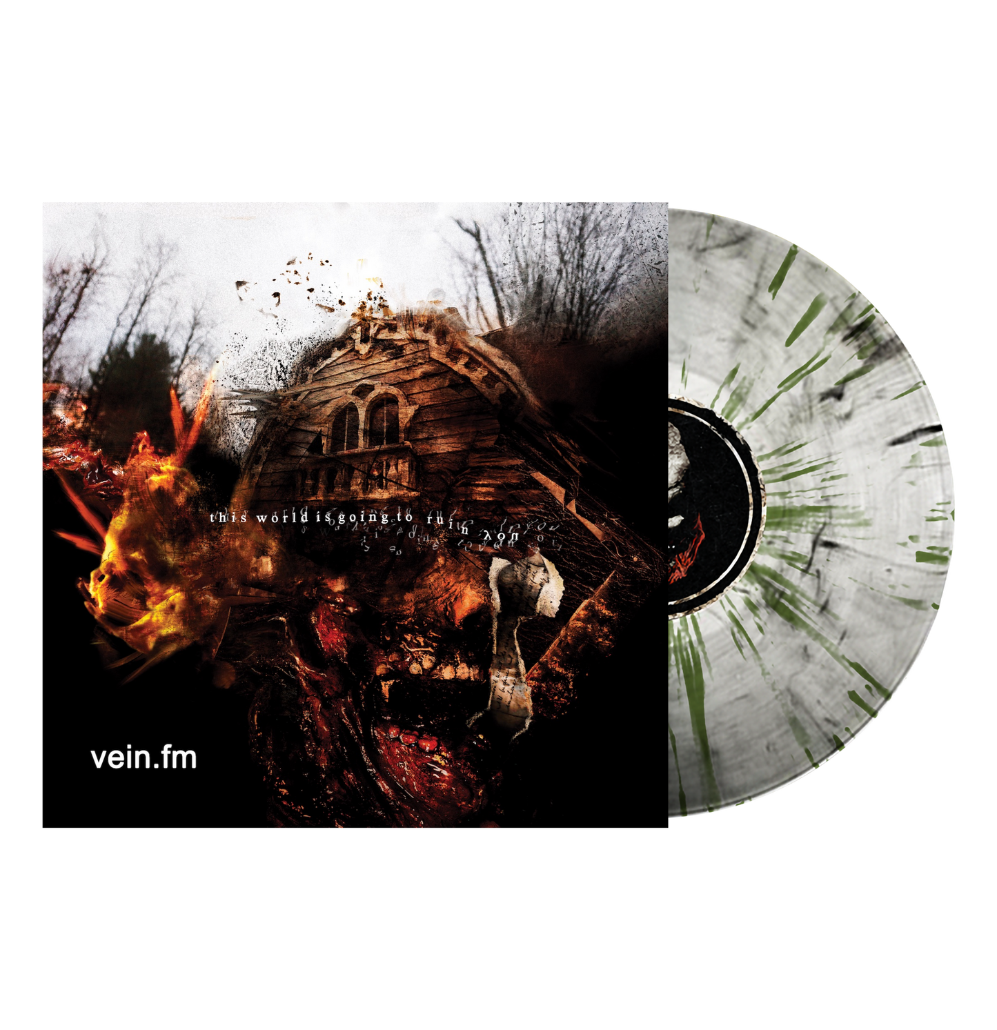 Vein.fm "This World Is Going To Ruin You" LP